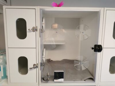 Katteopstaldning - Fleksibel og komfortabel indkvartering til katte